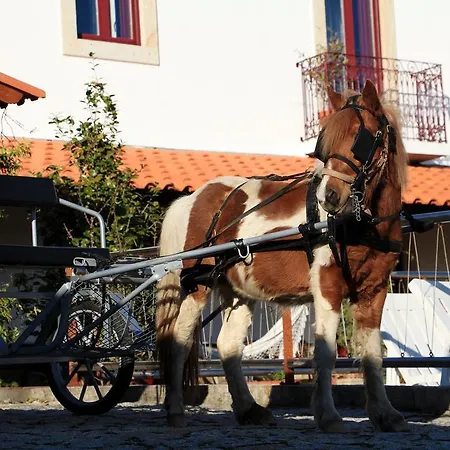 Casa Paz Do Outeiro * パレーデス・デ・コウラ