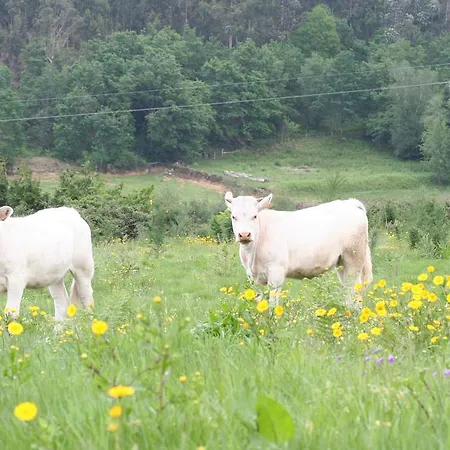 Casa Paz Do Outeiro Paredes de Coura