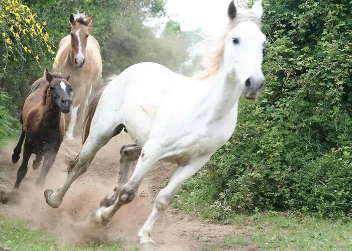 Casa Paz Do Outeiro Paredes de Coura