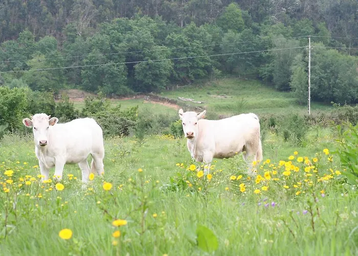 Casa Paz Do Outeiro Paredes de Coura
